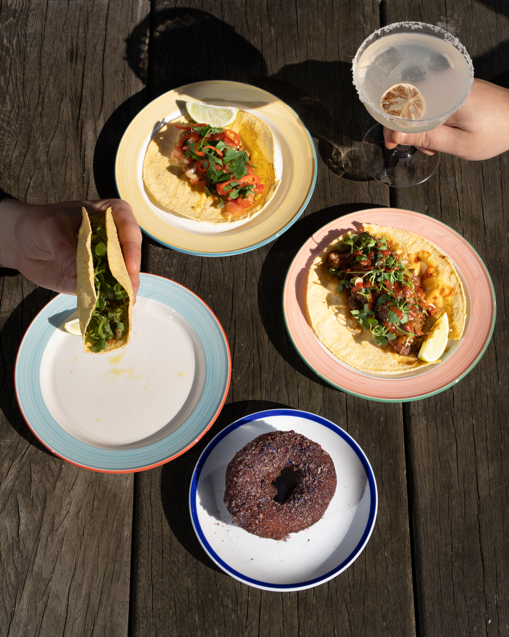 TACOS DOLORES-14 TACOS DOLORES-14